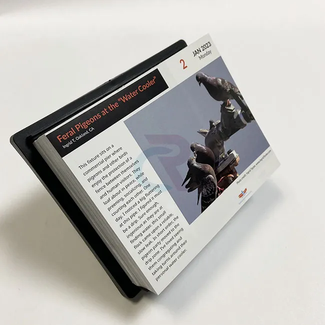 ການອອກແບບແບບກຳນົດເອງຖືກລວມເຂົ້າໃສ່ປະຕິທິນໜ້າຕາຕໍ່ວັນໄດ້ແນວໃດ?